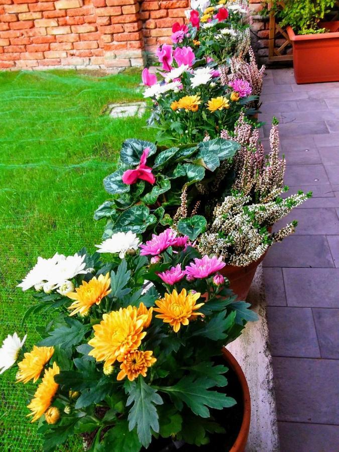 B&B Hortus Venice Exterior photo